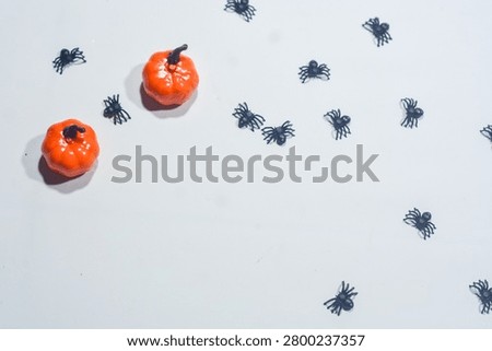 Halloween Objects with Skull Spider and Jack O Lantern Isolated on White Background