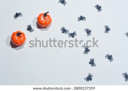 Halloween Objects with Skull Spider and Jack O Lantern Isolated on White Background