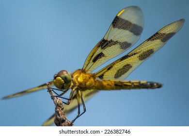 Halloween Pennant