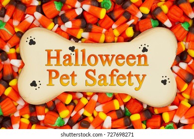 Halloween Pet Safety Message On Wood Dog Bone With Candy Corn Background