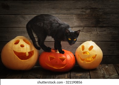 Halloween Pumpkin And Black Cat On Wooden Background