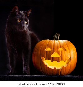 42,780 Black cat orange eyes Images, Stock Photos & Vectors | Shutterstock