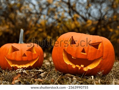 Halloween pumpkin with face in the forest during autumn. October core.