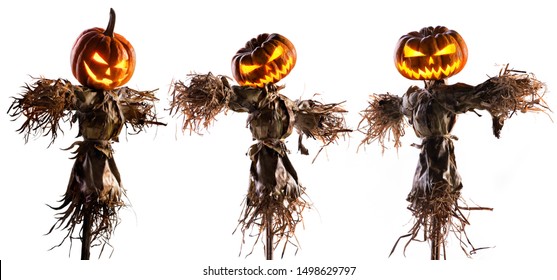 halloween pumpkin scarecrow isolated on white background.