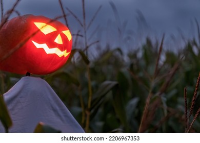 Halloween Pumpkin Scarecrow In A Wide Corn Field On A Scary Dark Night.