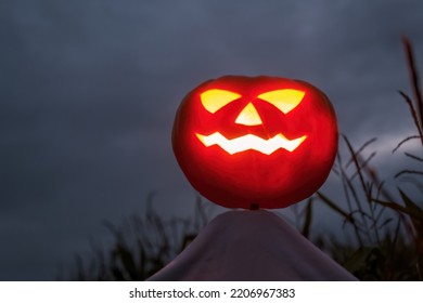 Halloween Pumpkin Scarecrow In A Wide Corn Field On A Scary Dark Night.