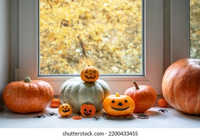Halloween pumpkins by window at home. Vegetables set, orange food, sweets and decorations on white windowsill on hallowen. Concept of October, fall, Halloween, still life, kitchen, season and holiday - Shutterstock ID 2200433455