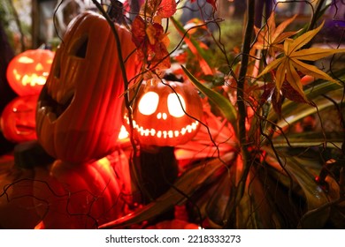 Halloween Pumpkins And Decorations Outside