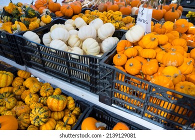 Halloween Pumpkins Are Displayed For Sale At Union Square Green Market On October 15, 2021 In New York City NY USA.