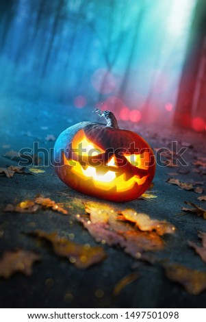Halloween Pumpkins Glowing In Fantasy Night Forest . Jack O Lantern Holiday Horror Background