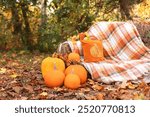 Halloween pumpkins near haystack. Straw bench with plaid in garden. Autumn cozy outdoor relax. Decorated fall yard with orange pumpkins and yellow foliage. Harvest of pumpkin. Thanksgiving.  