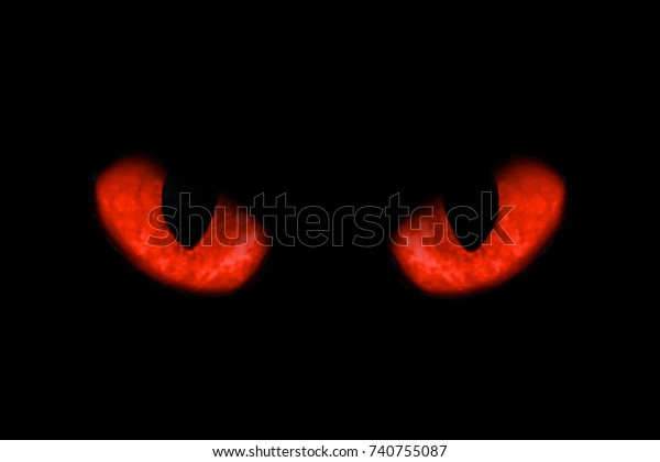 Red Eyes Black Background 3132