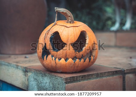 Halloween rotten pumpkin with spooky scary face outdoor.