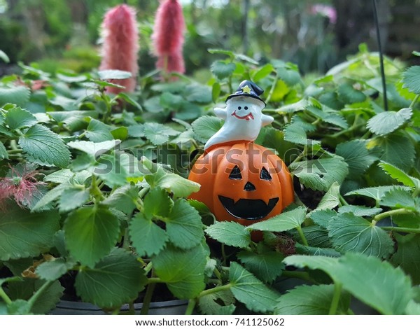 Halloween Scary Pumpkin Little Ghost Smile Stock Photo Edit Now