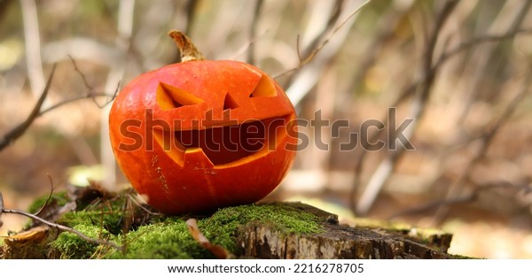 Halloween scary pumpkin with\
one tooth in the autumn forest. A pumpkin with a carved smiling\
face stands on a moss-covered stump. Halloween autumn mood.\
Selective focus