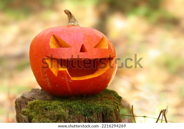 Halloween scary pumpkin with\
one tooth in the autumn forest. A pumpkin with a carved smiling\
face stands on a moss-covered stump. Halloween autumn mood.\
Selective focus