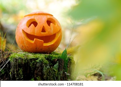 Halloween scary pumpkin with a smile in autumn forest