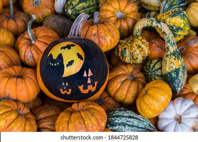 Halloween Scene Of  A Cat, Bats And Pumpkins Painted Black On Orange Pumpkin With Mini Small Pumpkins In The Background.