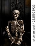 Halloween skeleton decorations. Halloween skeleton for decorated house. Scary skeleton Decorated at front yard of a American home. Trick or treat. Halloween skeleton background.