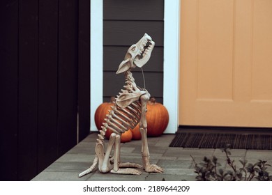 Halloween Skeleton Of Scary Dog. Halloween Decoration With Skeletons And Pumpkins.