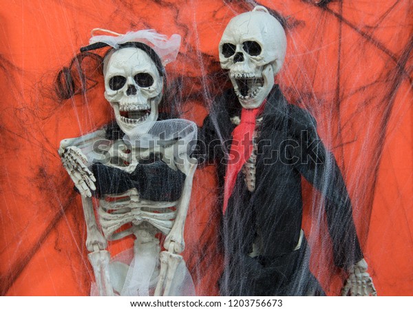 Halloween Spooky Wedding Portrait Skeleton Bride Stock Photo Edit
