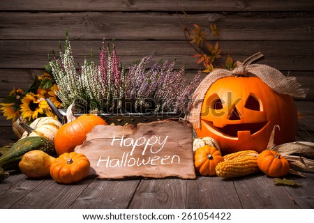 Halloween still life with pumpkins and holiday text