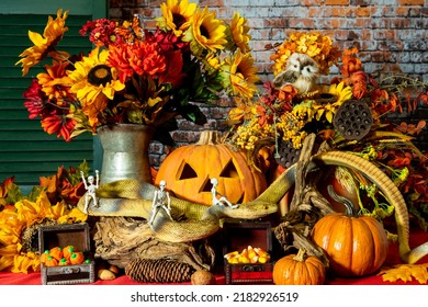 Halloween Still Life With Skeletons Riding Large Snake