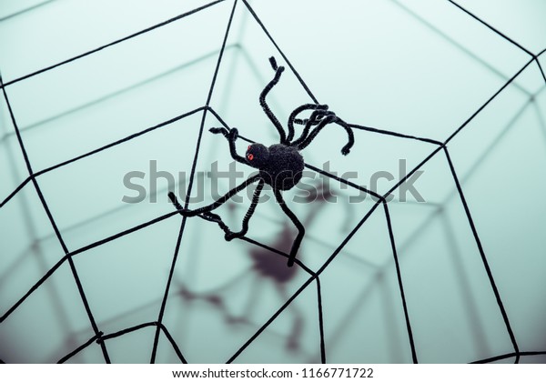 Halloween Symbols Web Black Spiderstoned Imagepretty Stock Photo