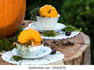 Halloween Thanksgiving Pumpkin Patch Tea Party 