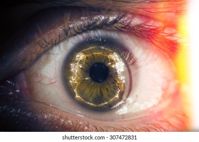 Halloween Themed Closeup Macro Shot Of Eyeball With Skeleton Reflection