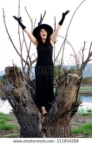 halloween witch appeals to the sky while standing on a tree