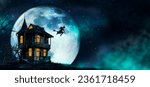 Halloween Witch flying on a broomstick. Female wizard fairy character for All Saints