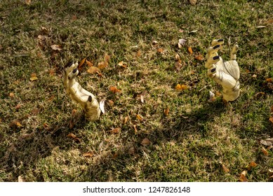 Halloween Zombie Hands Reaching Up From Underground