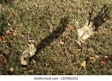 Halloween Zombie Hands Reaching Up From Underground