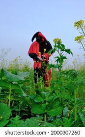 Halloween.Evil Harlequin In A Rapeseed Blooming Green Field In The Fog. Scary Jester Costume.Evil Clown With A Knife.Fear And Horror Concept. Scary Harlequin Dancing.Traditional Carnival In October