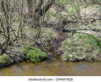 Halls Creek Near Humbird, Wisconsin