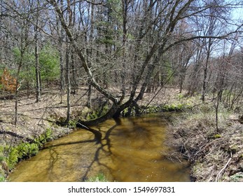 Halls Creek Near Humbird, Wisconsin