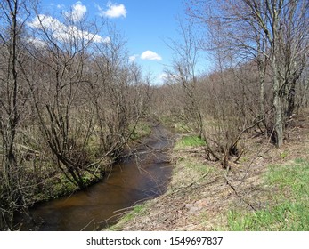 Halls Creek Near Humbird, Wisconsin