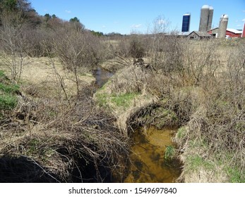 Halls Creek Near Humbird, Wisconsin