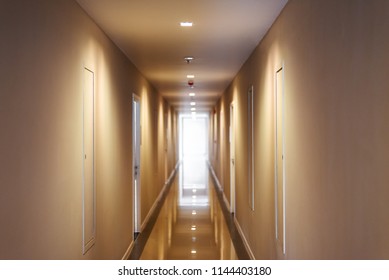 Hallway In Apartment , Door Rooms In Dorm