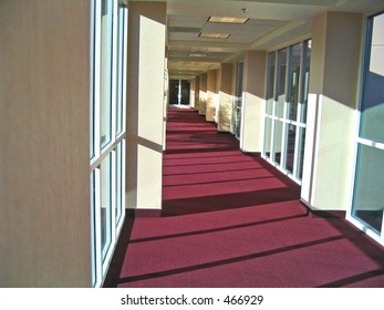 A hallway between buildings, with numerous long windows and mauve industrial carpeting