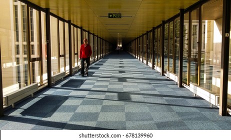 A hallway with glass curtain and carpet with sunlight shining through the glass on the ground