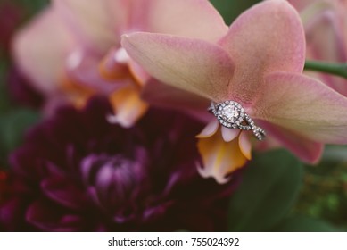 Halo Diamond Engagement Ring On Pink Orchid Flower