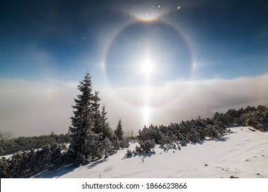 Halo effect around winter morning sun, clouds inversion and snow covered trees