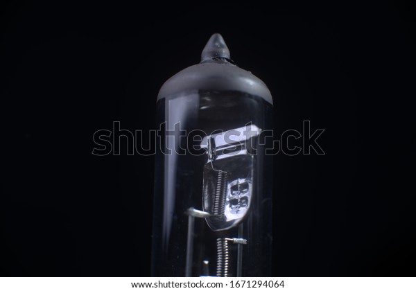 Halogen car lamp on a
black background