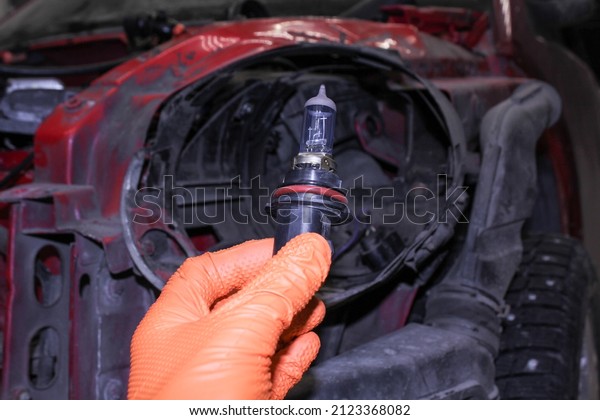 A\
halogen light bulb in a man\'s hand.  A professional worker changes\
the new halogen lamps of the car. Car repair. A mechanic in rubber\
gloves holds a halogen lamp in his hand in\
close-up.