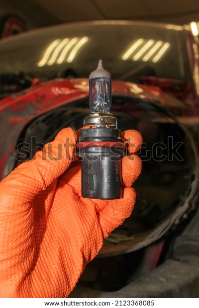 A
halogen light bulb in a man's hand.  A professional worker changes
the new halogen lamps of the car. Car repair. A mechanic in rubber
gloves holds a halogen lamp in his hand in
close-up.