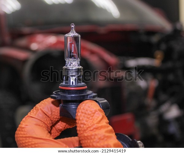 A
halogen light bulb in a man's hand.  A professional worker changes
the new halogen lamps of the car. Car repair. A mechanic in rubber
gloves holds a halogen lamp in his hand in
close-up.