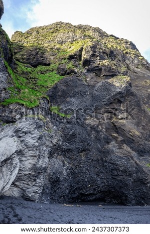 Halsanefshellir cave made of basalt columns on Reynisfjara Black Sand Beach, volcanic rock formations covered with moss, Iceland.
