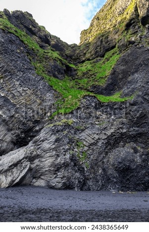 Halsanefshellir cave made of basalt columns on Reynisfjara Black Sand Beach, volcanic rock formations covered with moss, Iceland.